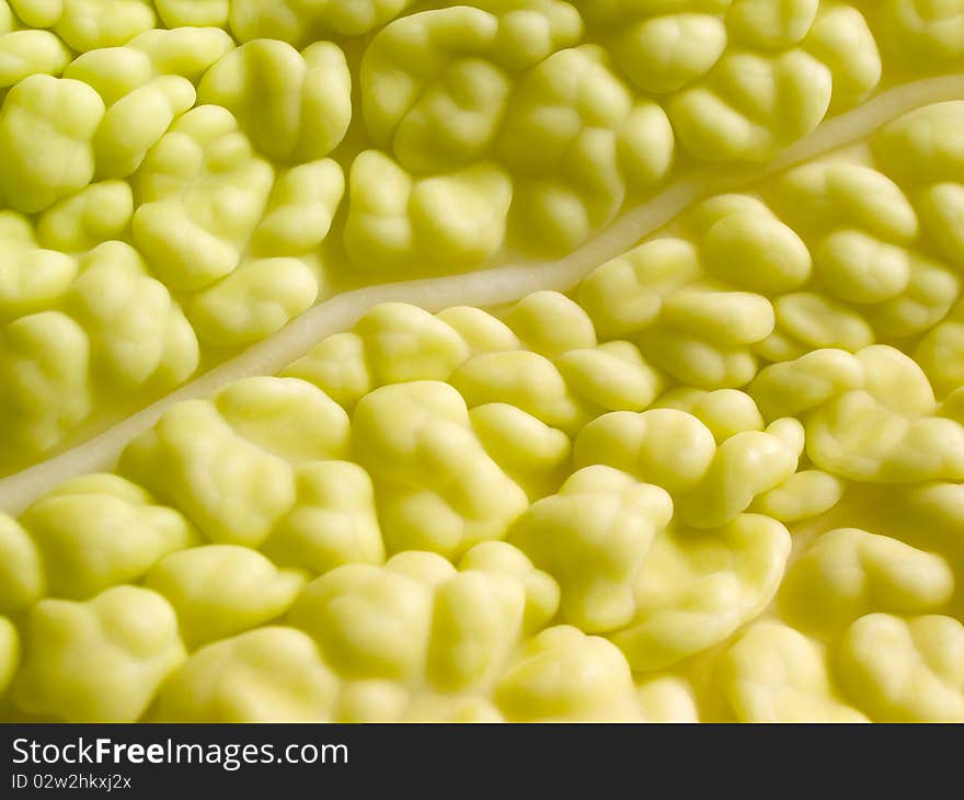 Yellow organic texture closeup background. Yellow organic texture closeup background.