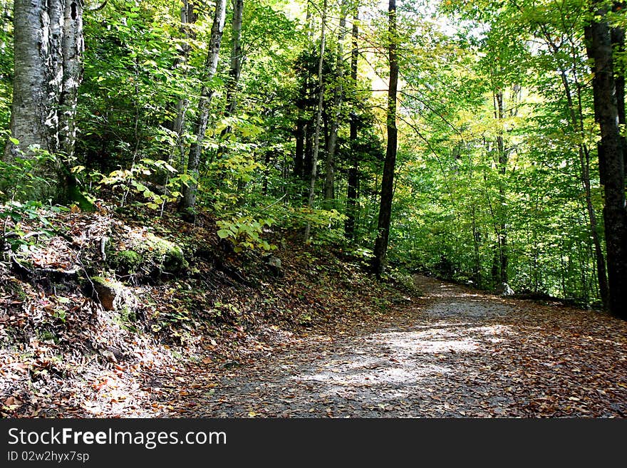 A mountain and the trees at fall time. A mountain and the trees at fall time