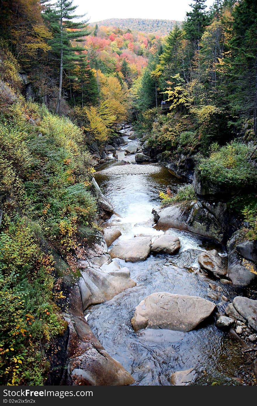 Trees at fall time with a river and stones. Trees at fall time with a river and stones