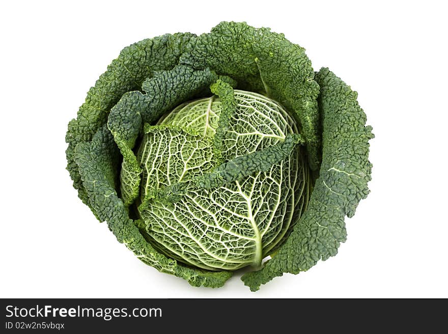 Wet green cabbage shot on white background. Wet green cabbage shot on white background