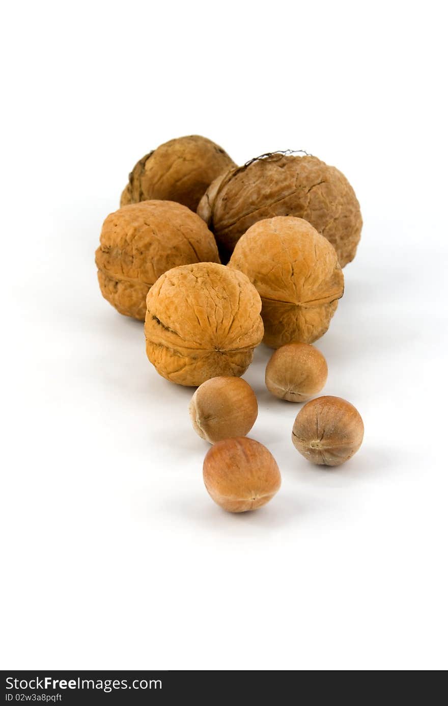 Wallnut and hazelnut on white background