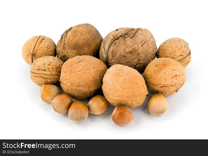 Wallnut and hazelnut on white background