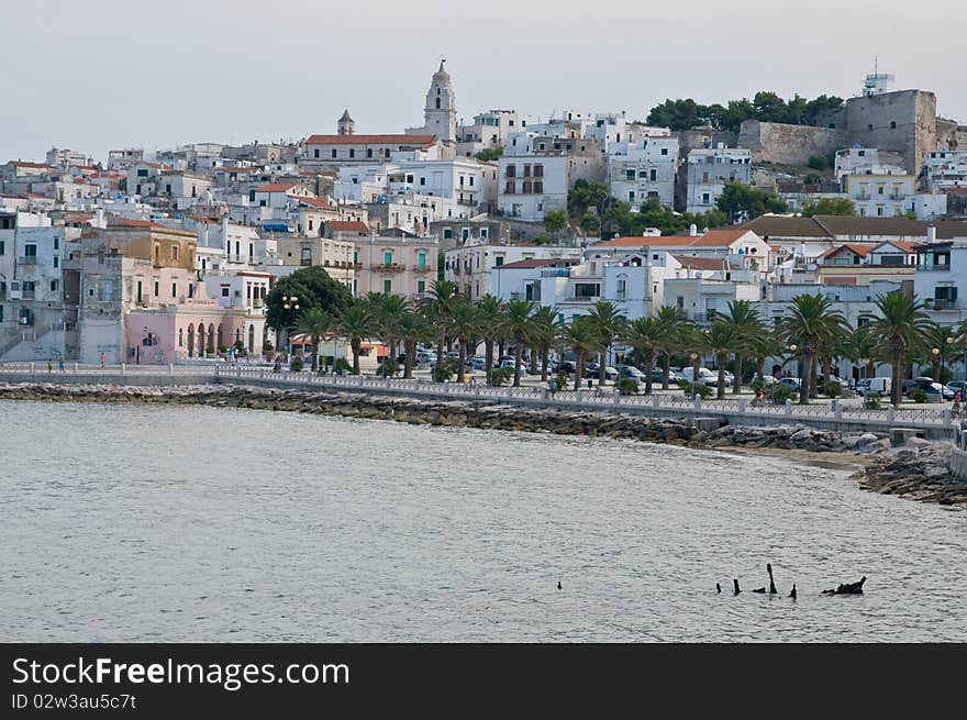 The small city vieste in itlay, gargano, apulia