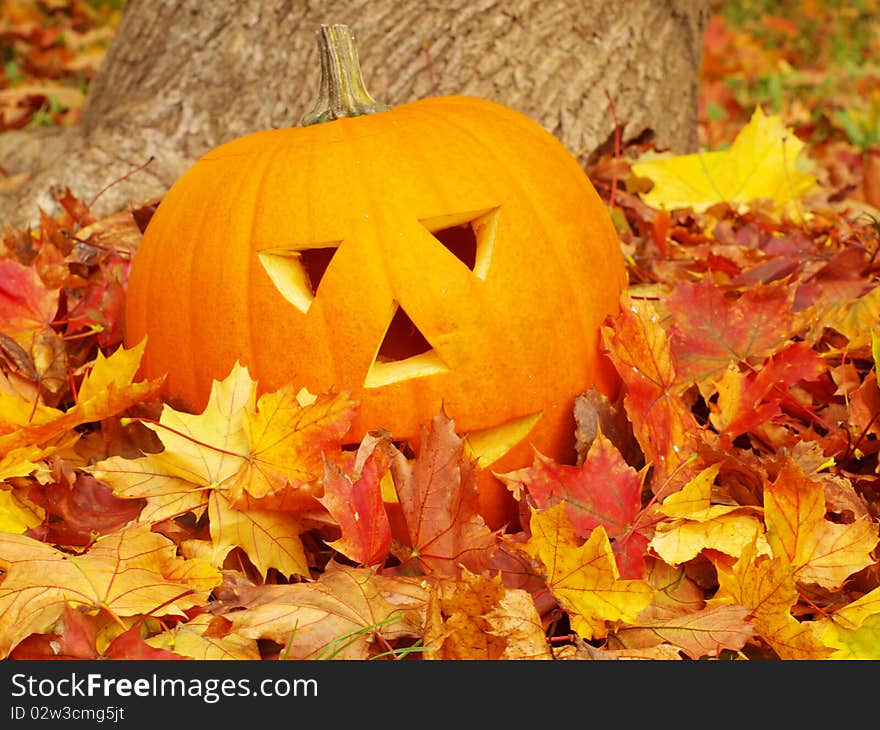 Torchbearer for Halloween in the colorful foliage