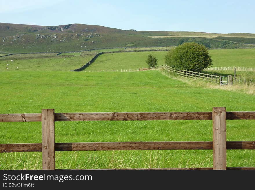 Yorkshire Dales farmland