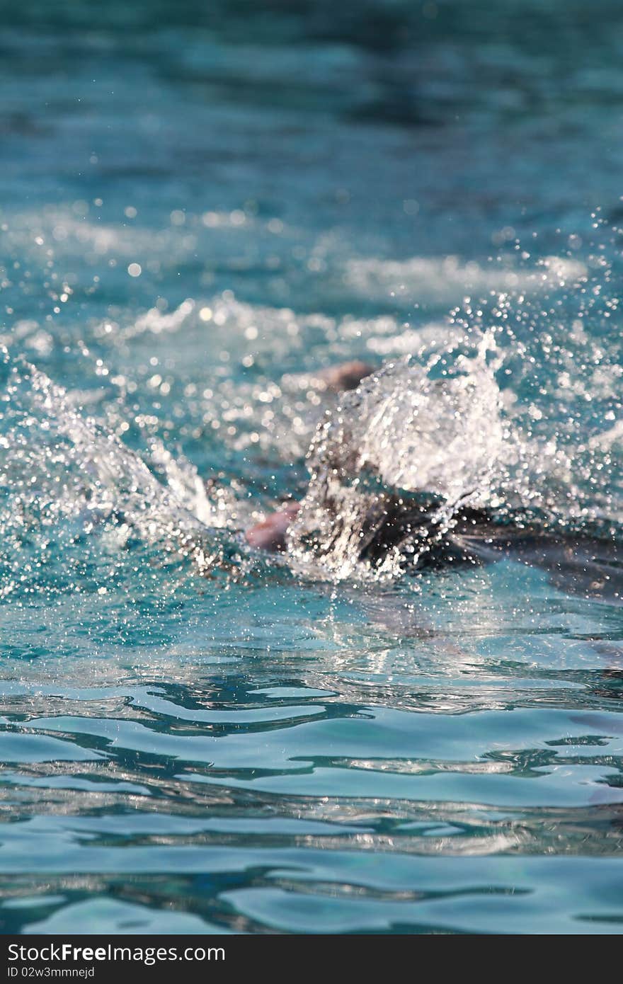 Photo of a swimmer in the pool. Photo of a swimmer in the pool.