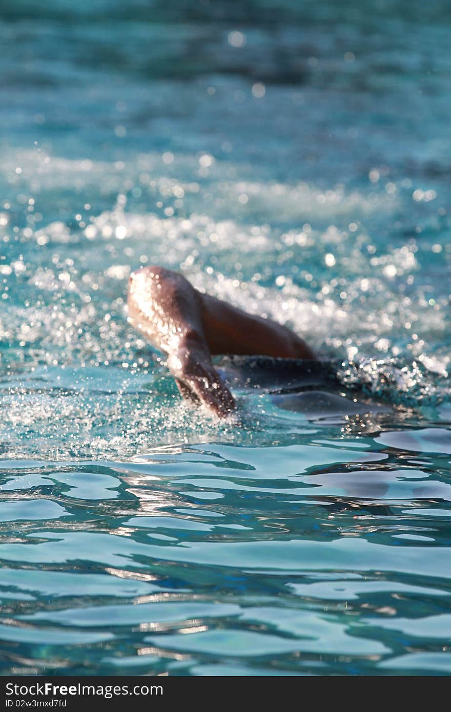 Photo of a swimmer in the pool. Photo of a swimmer in the pool.