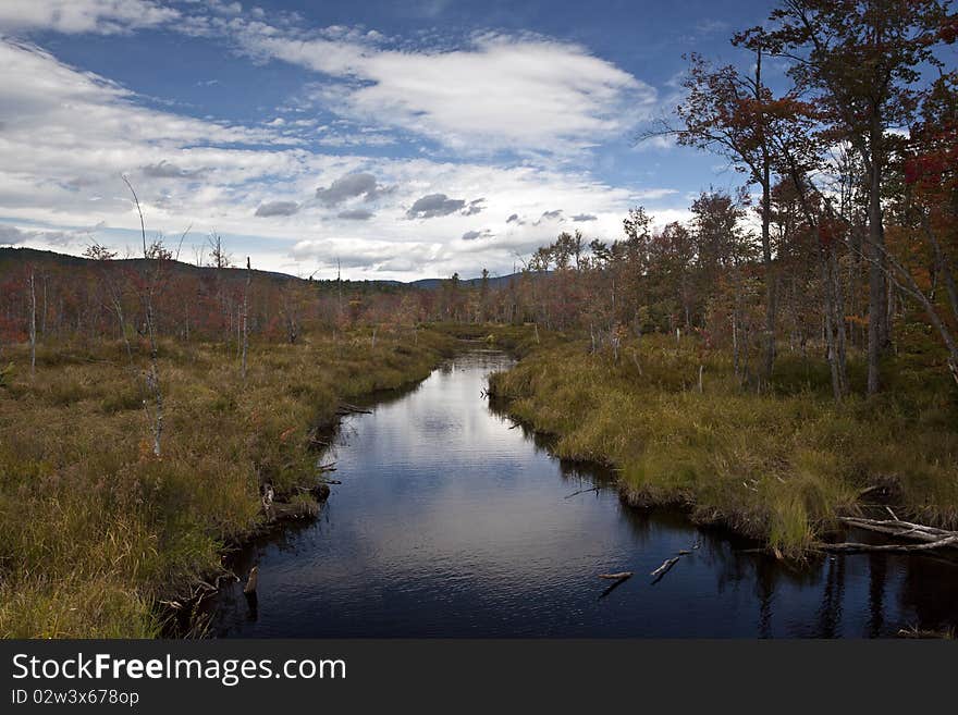 Autumn in Maine in the forests of the Northeaqst USA. Autumn in Maine in the forests of the Northeaqst USA