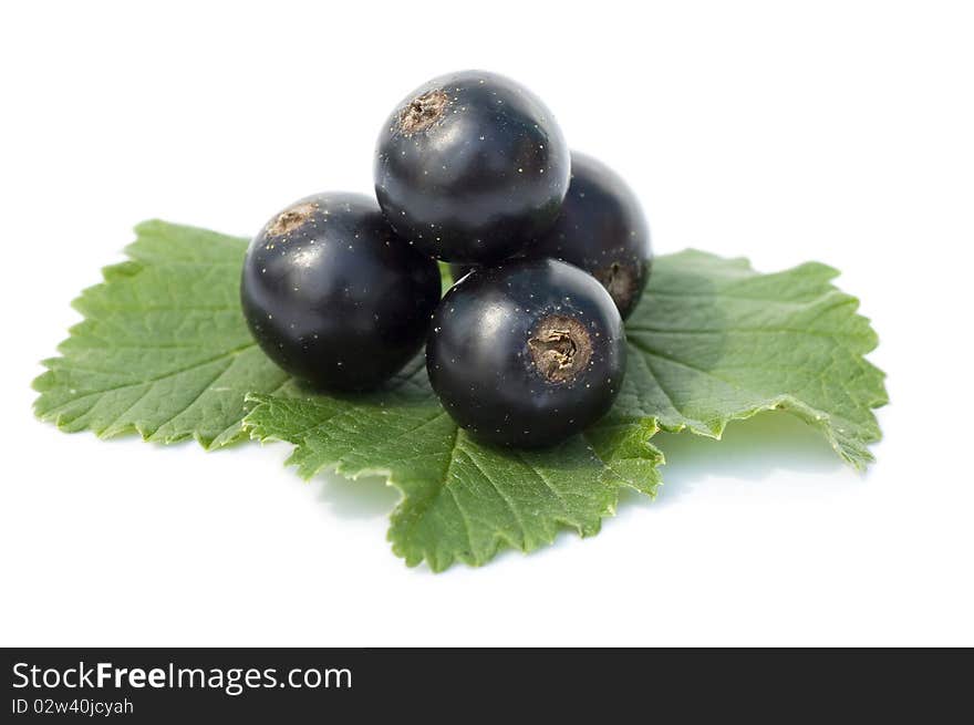 Black currant isolated on white