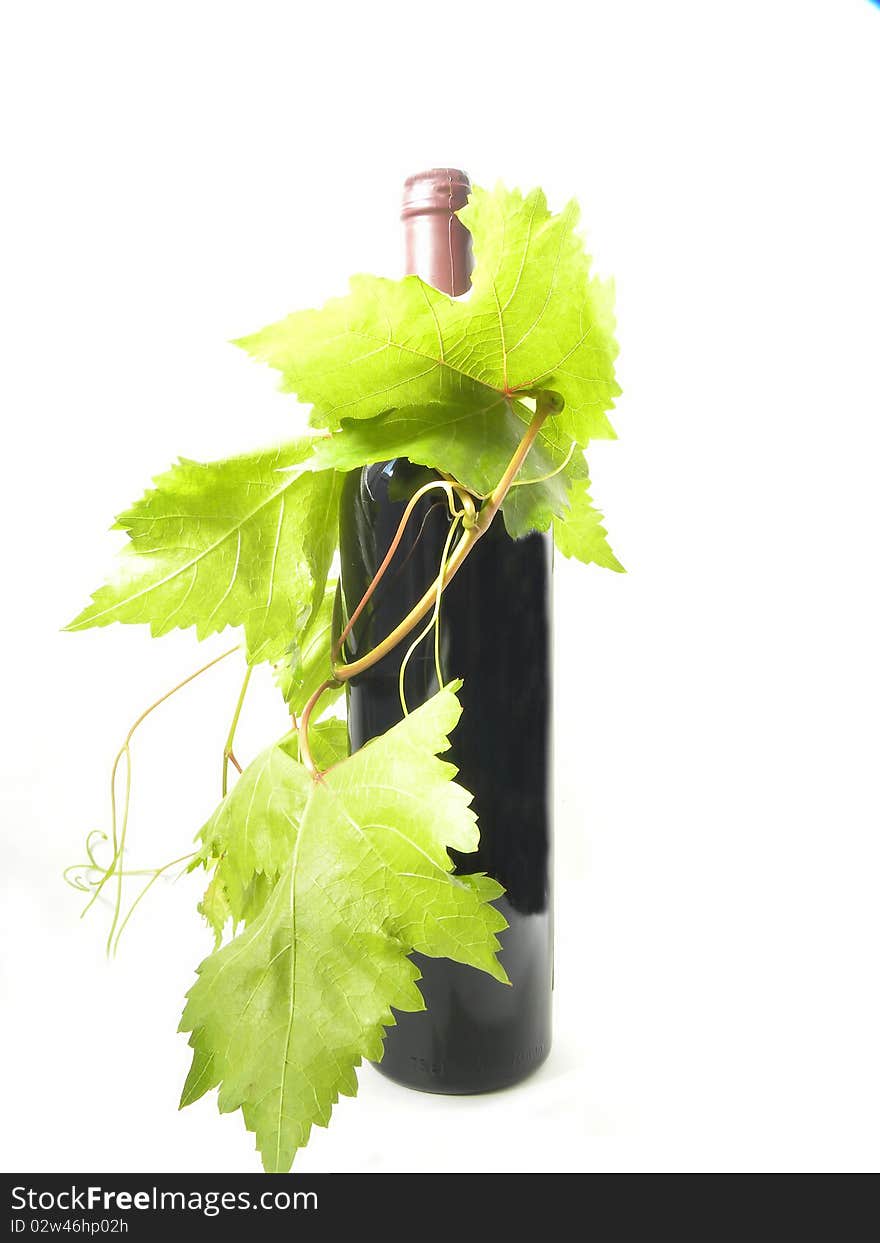 Wine bottle and young grape vine branch isolated on a white background