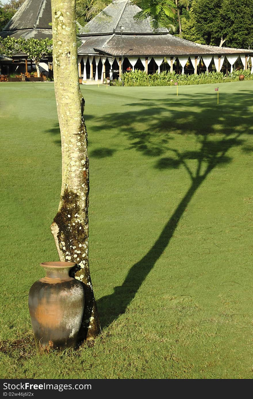 Trash from the pitcher in a beautiful garden and the morning shadows. Trash from the pitcher in a beautiful garden and the morning shadows