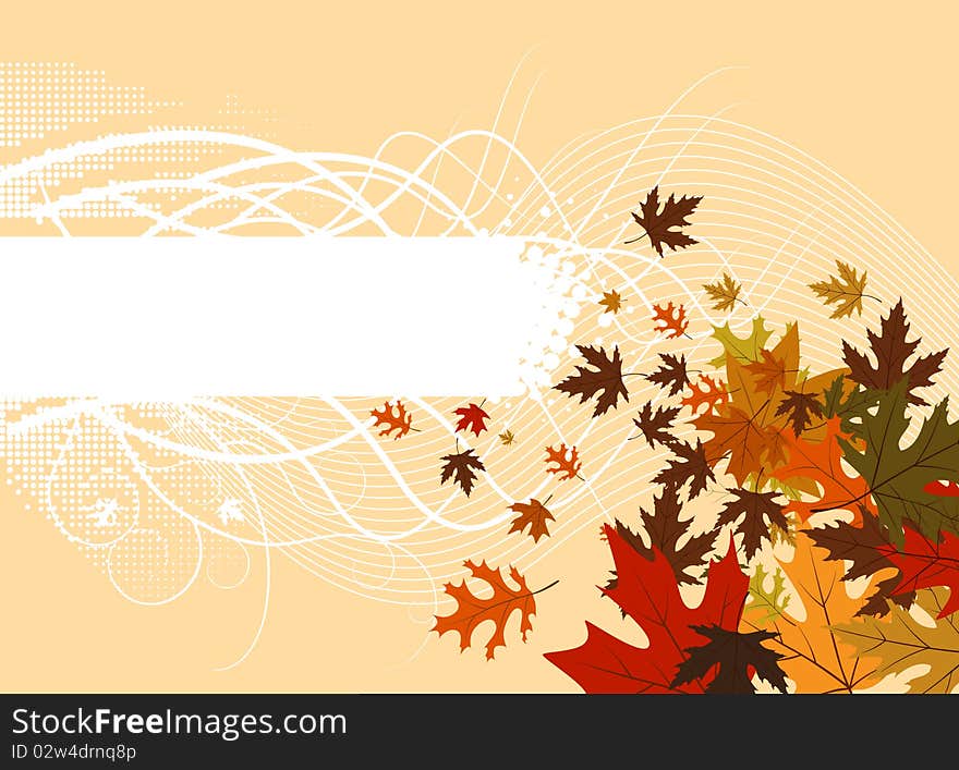 Floral frame vector