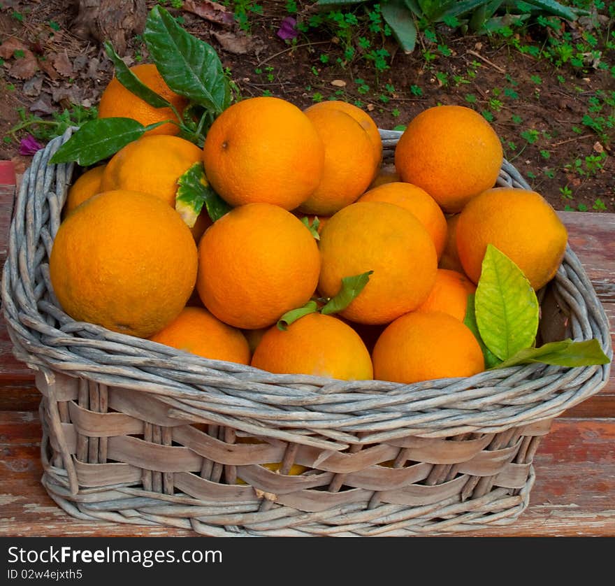 Basket of oranges .