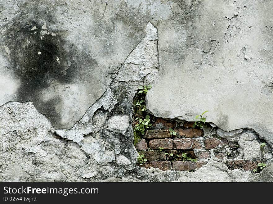 A split of old concrete is beauty texture on the wall.