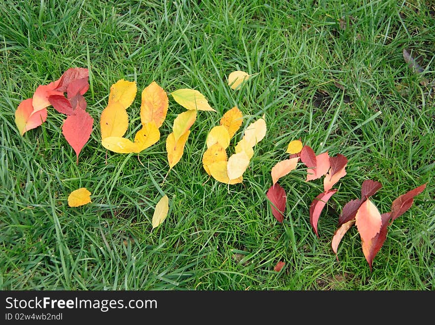 Fallen red and yellow leafs making word autumn