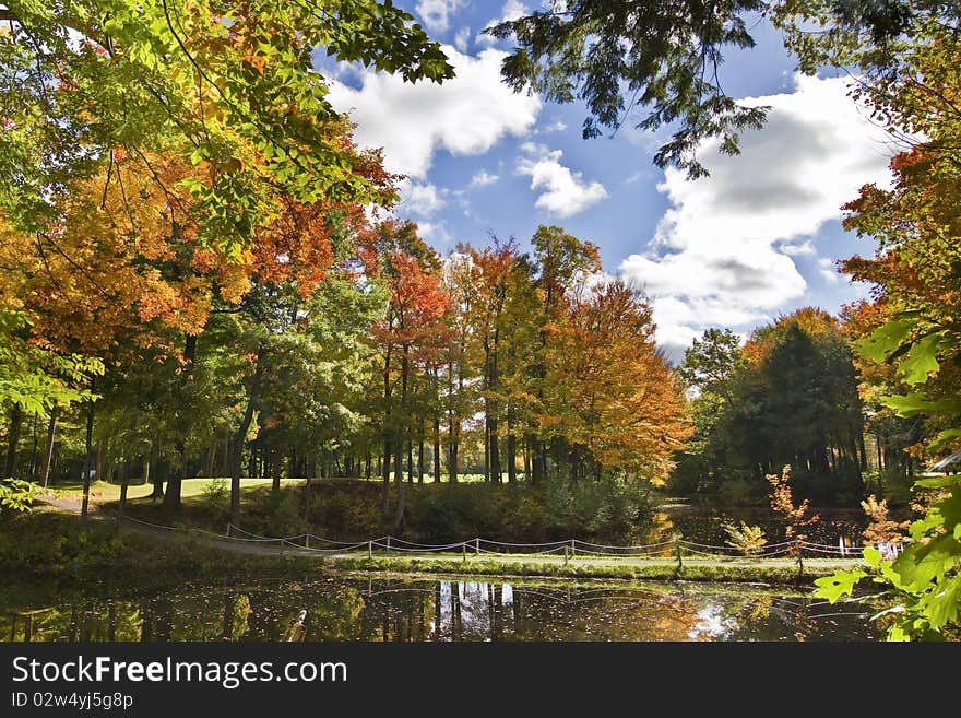 Canada's forest in october showing colors. Canada's forest in october showing colors