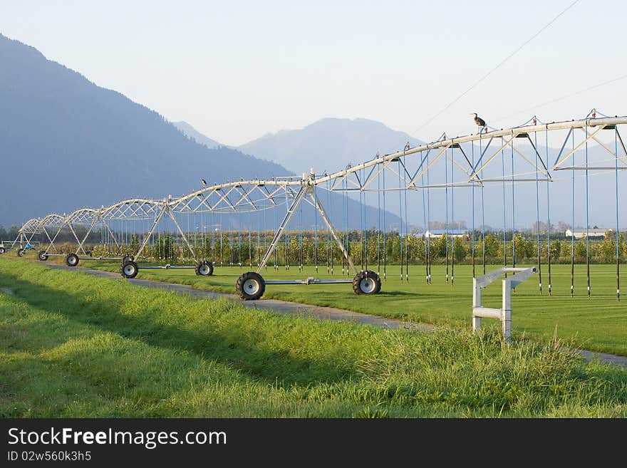 Sprinkler Irrigation System