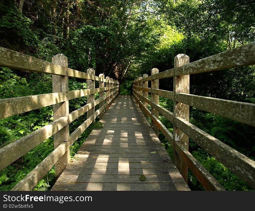 Dappled Sunlight On Foot Bridge