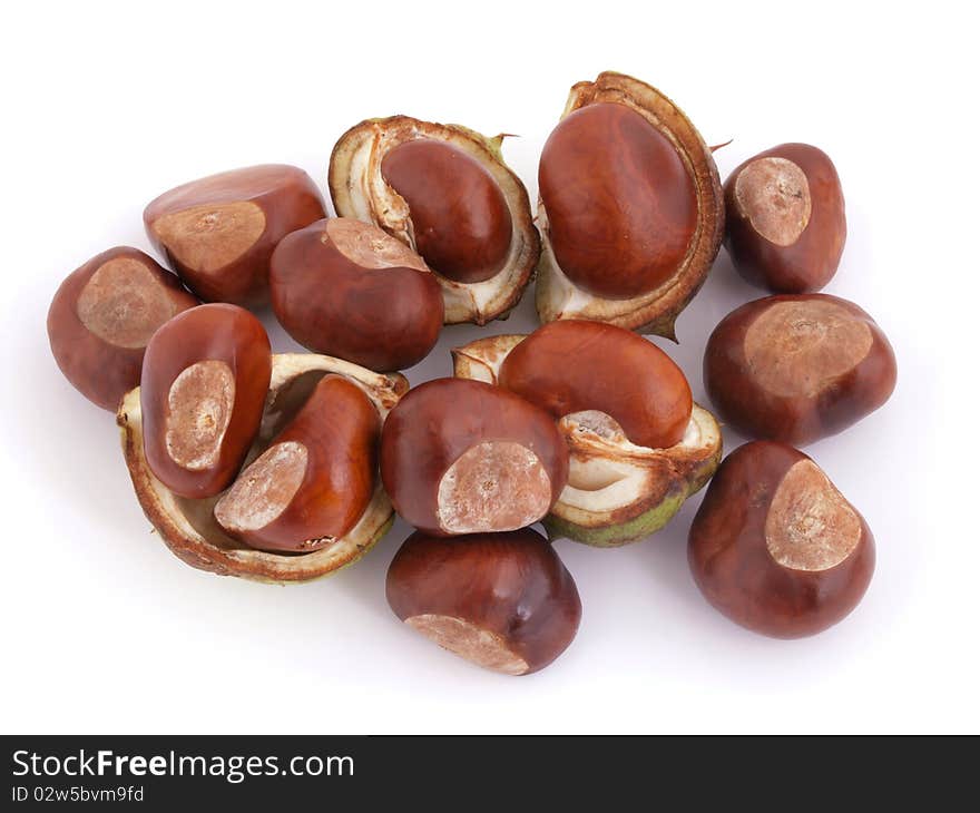 A conker is the seed of a horse chesnut tree. A conker is the seed of a horse chesnut tree.