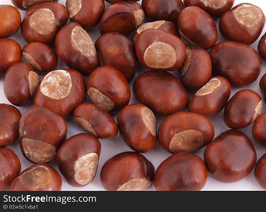 A conker is the seed of a horse chesnut tree. A conker is the seed of a horse chesnut tree.