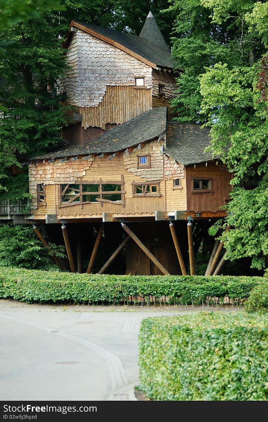 A Large Tree House hidden in the trees. A Large Tree House hidden in the trees