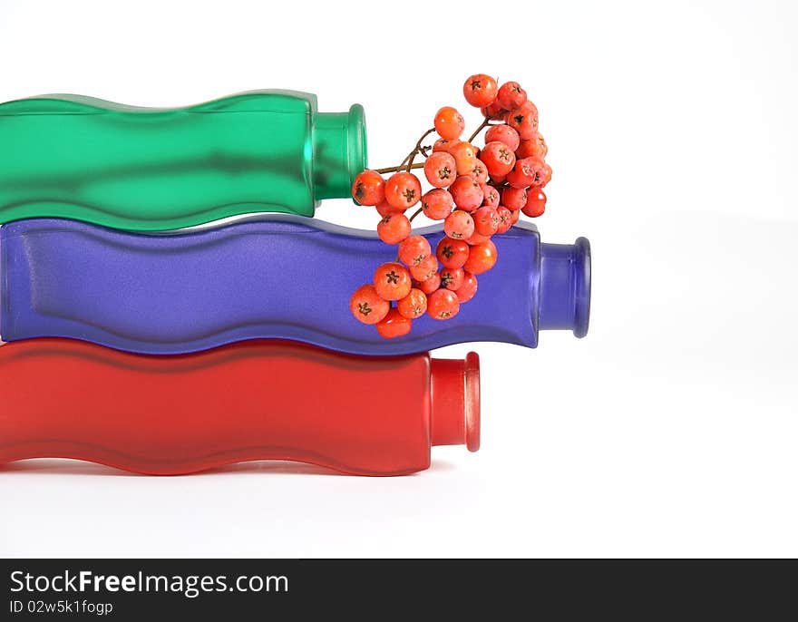 Still life with red natural rowan on a white background