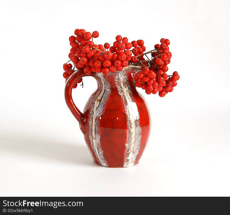 Still life with red natural rowan on a white background