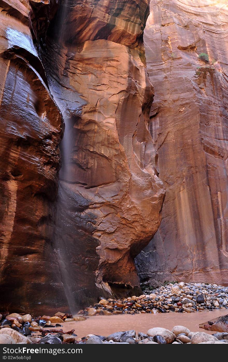 The diverse trek through Zion's premier canyon is one of the most touted and breathtaking adventures in America. Extraordinary beauty and unique character describe this amazing gorge. Hanging gardens burst from dramatically colored perpendicular walls while trickling water threads its way through moss covered boulders. Gentle slopes give way to sheer walls funneling streams of water into fluted slides and twisting channels cutting deeper and deeper as the journey continues its path southward. Along the sandy perches of the banks, towering ponderosa send their roots downward, hungry for nutrients and water. The entire trip is wondrous. The Zion Narrows deserves its reputation as one of the best.