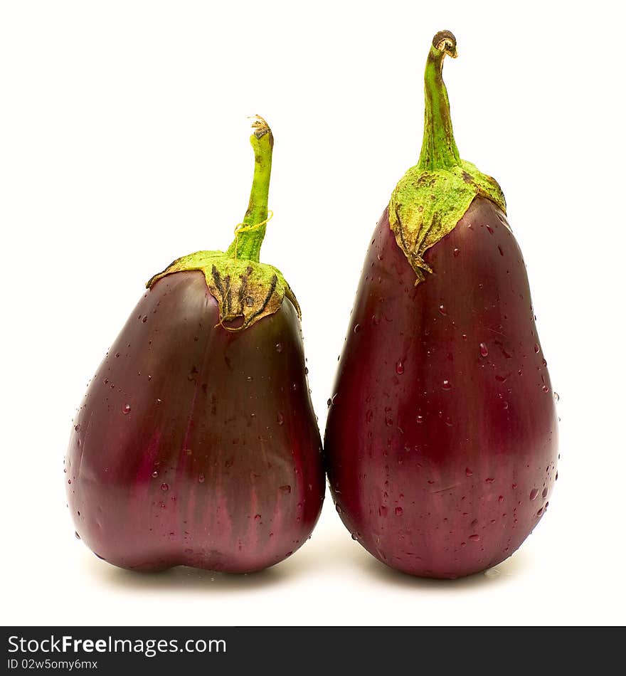 Two eggplants isolated on the white background. Two eggplants isolated on the white background