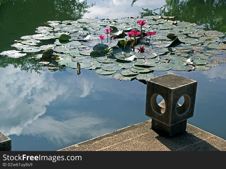 Chinese temple pond and The Palace lantern-shaped