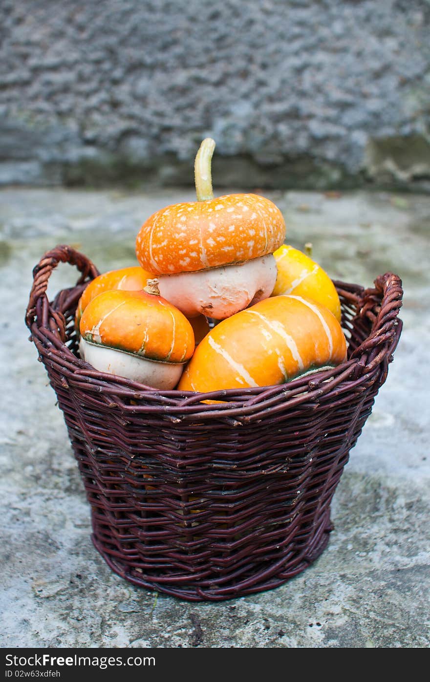 Basket of decorative pumpkins (Cucurbita pepo)