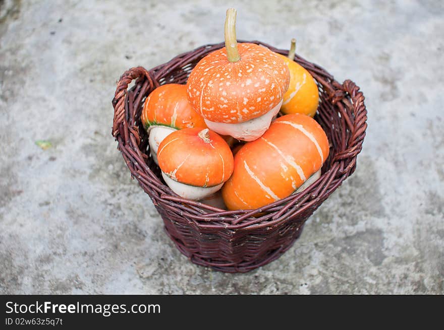 Looking down on a wicker basket full of orange decorative pumpkins (Cucurbita pepo)