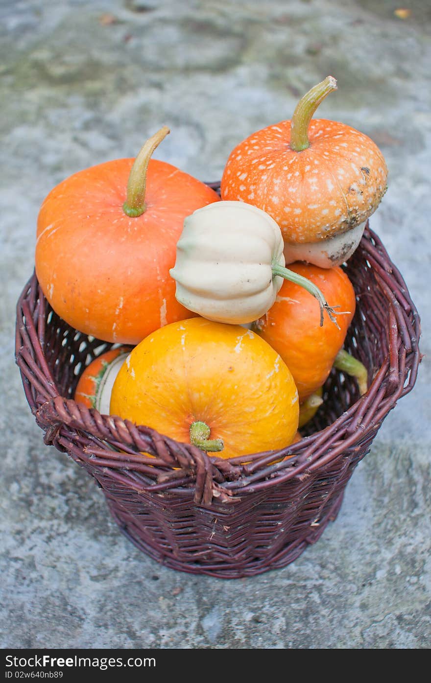 Basket of decorative pumpkins (Cucurbita pepo)