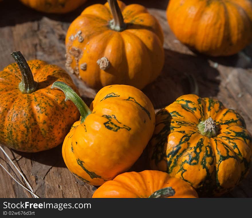 A photo of several pumpkins gourds at a farm on a sunny autumn day. A photo of several pumpkins gourds at a farm on a sunny autumn day.