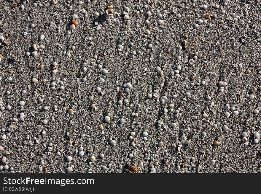 The sand and shell it's on the beach. The sand and shell it's on the beach.