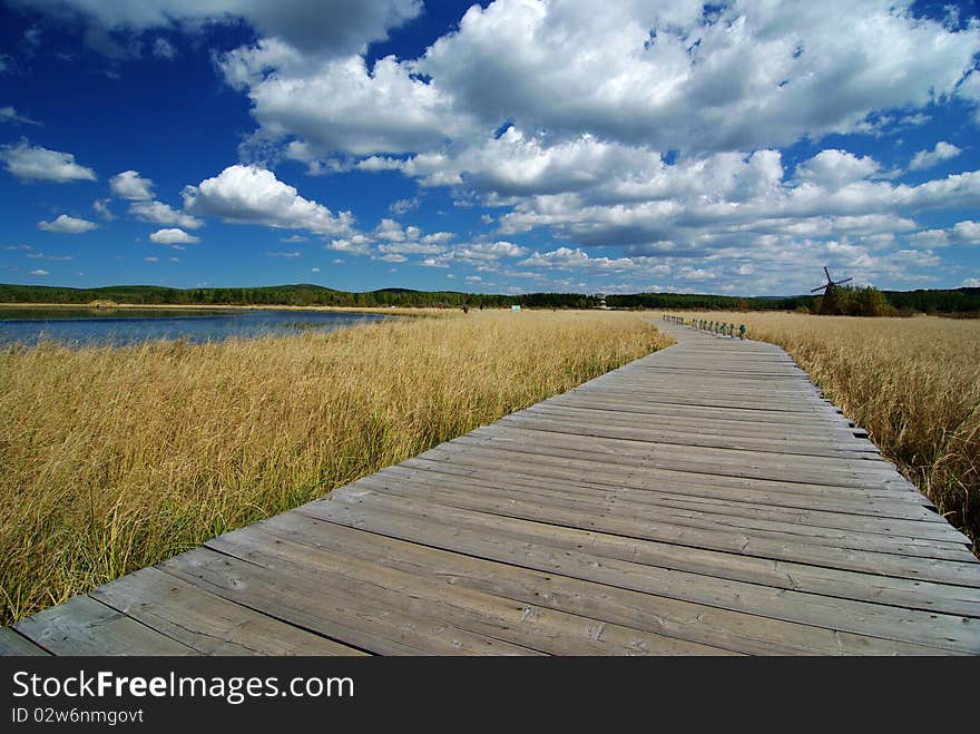 Wooden path through lake and reeds