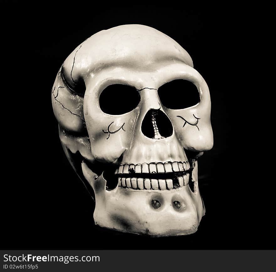 Skull Of The Person