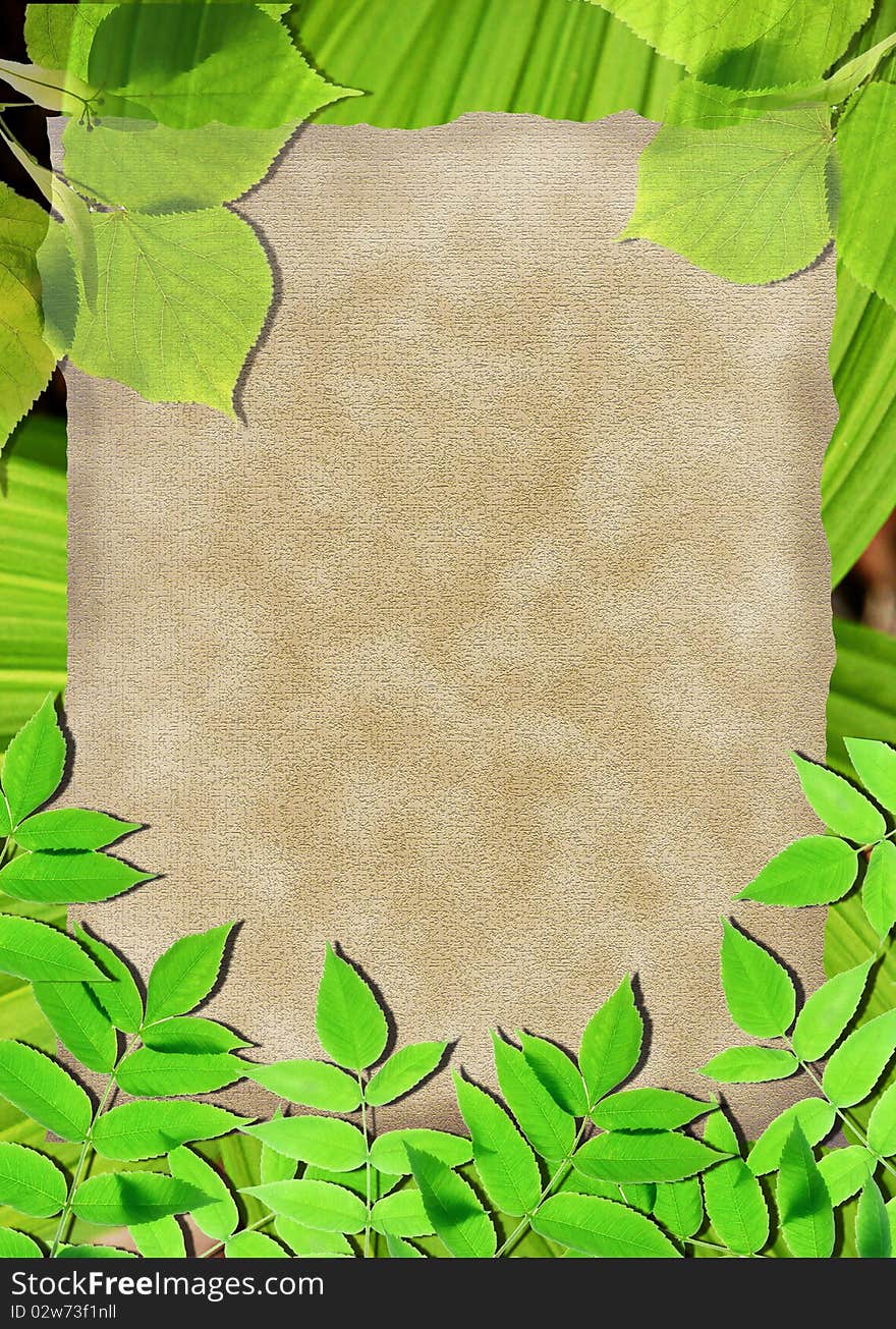 Old Paper Background With Green Leaves