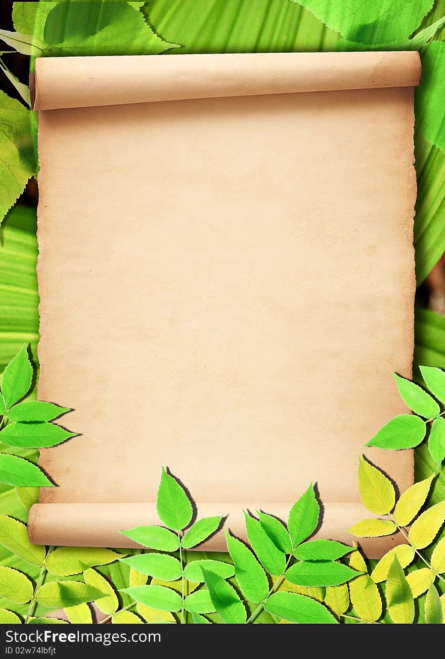 Old Paper Background With Green Leaves