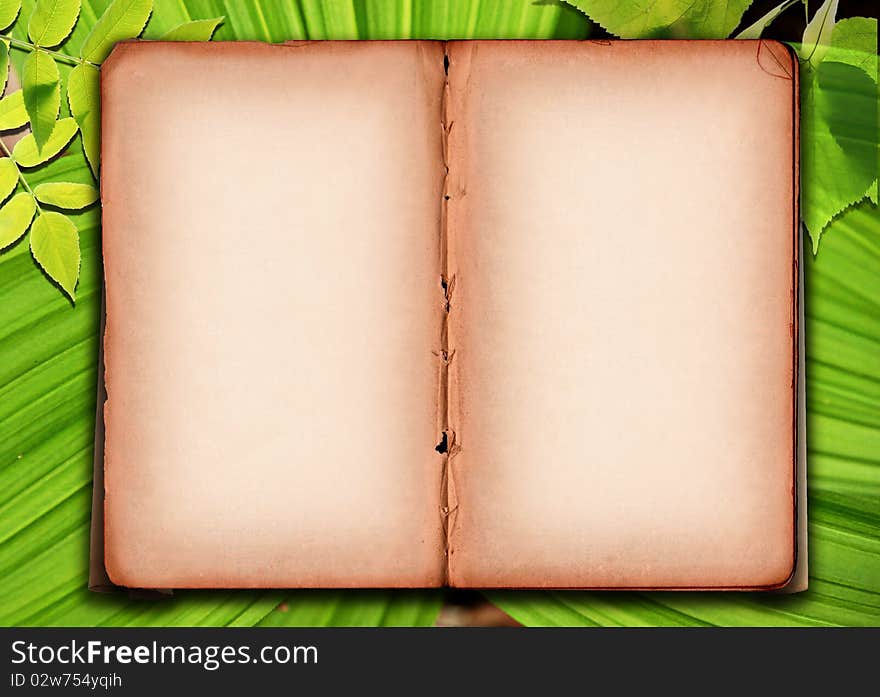 Autumn background with colored leaves on old paper