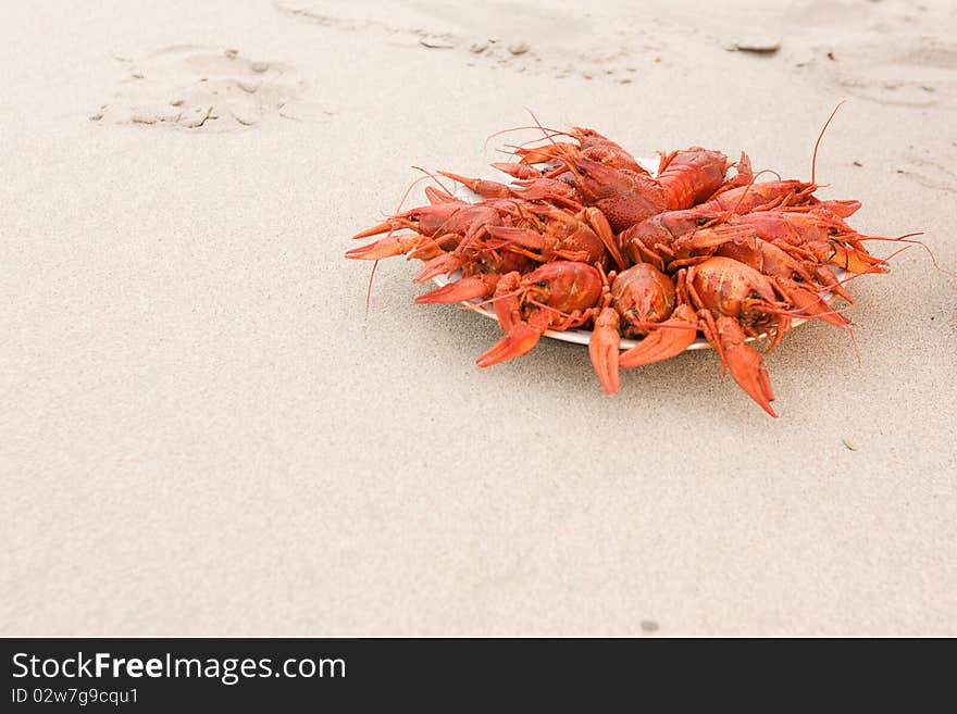 Crayfish on sand, ready to eat in a dish on the shore