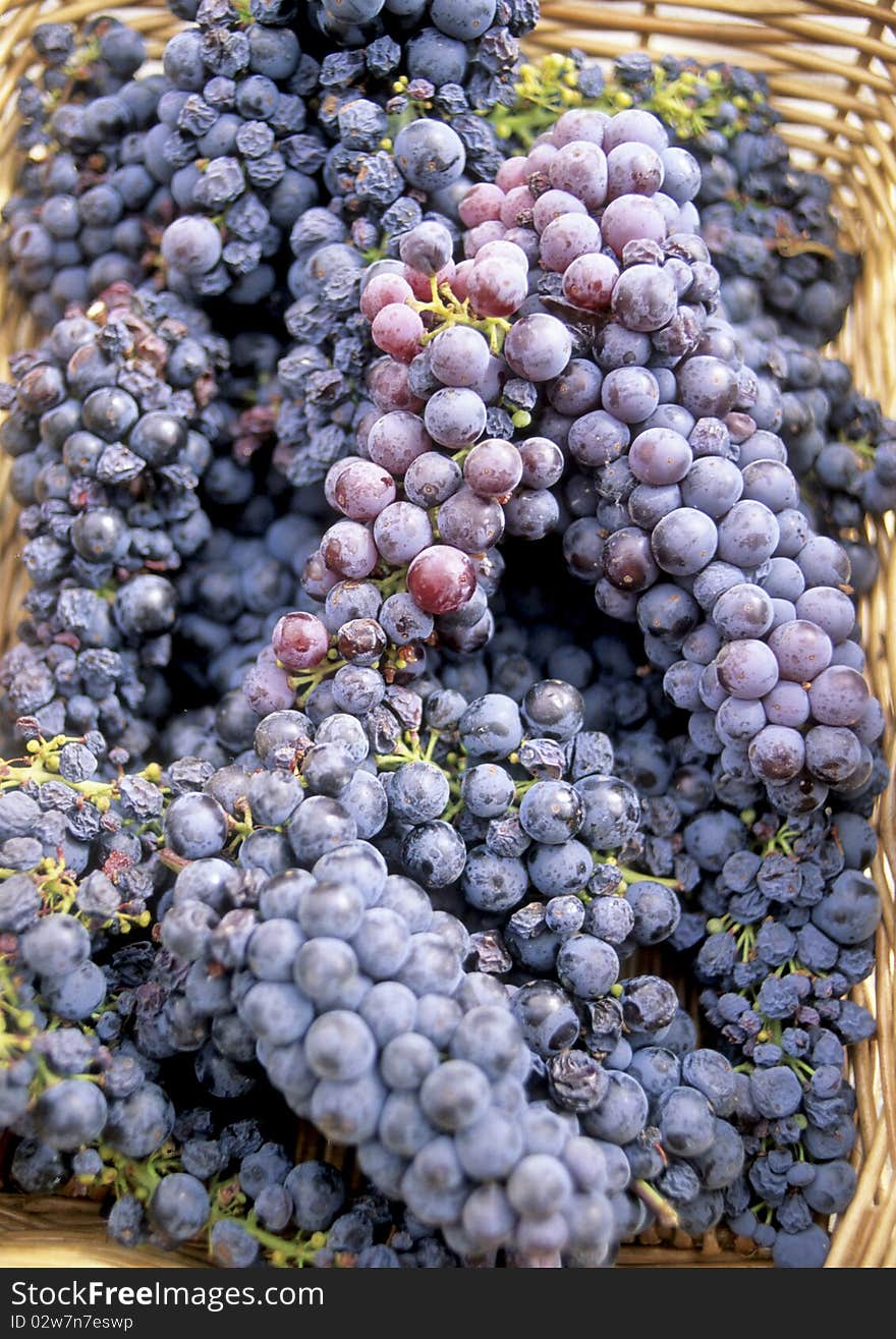 Red grapes in a busket