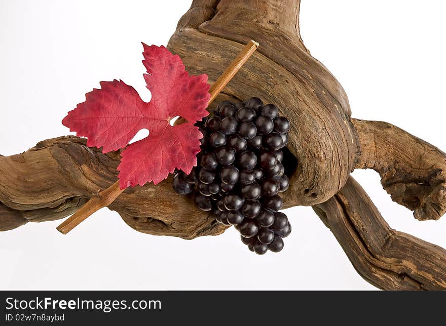 Red vine grapes with leave on a vine. Red vine grapes with leave on a vine.