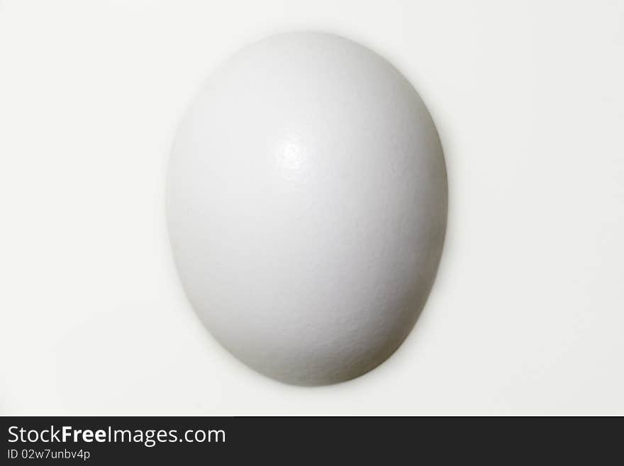 Egg in Milk