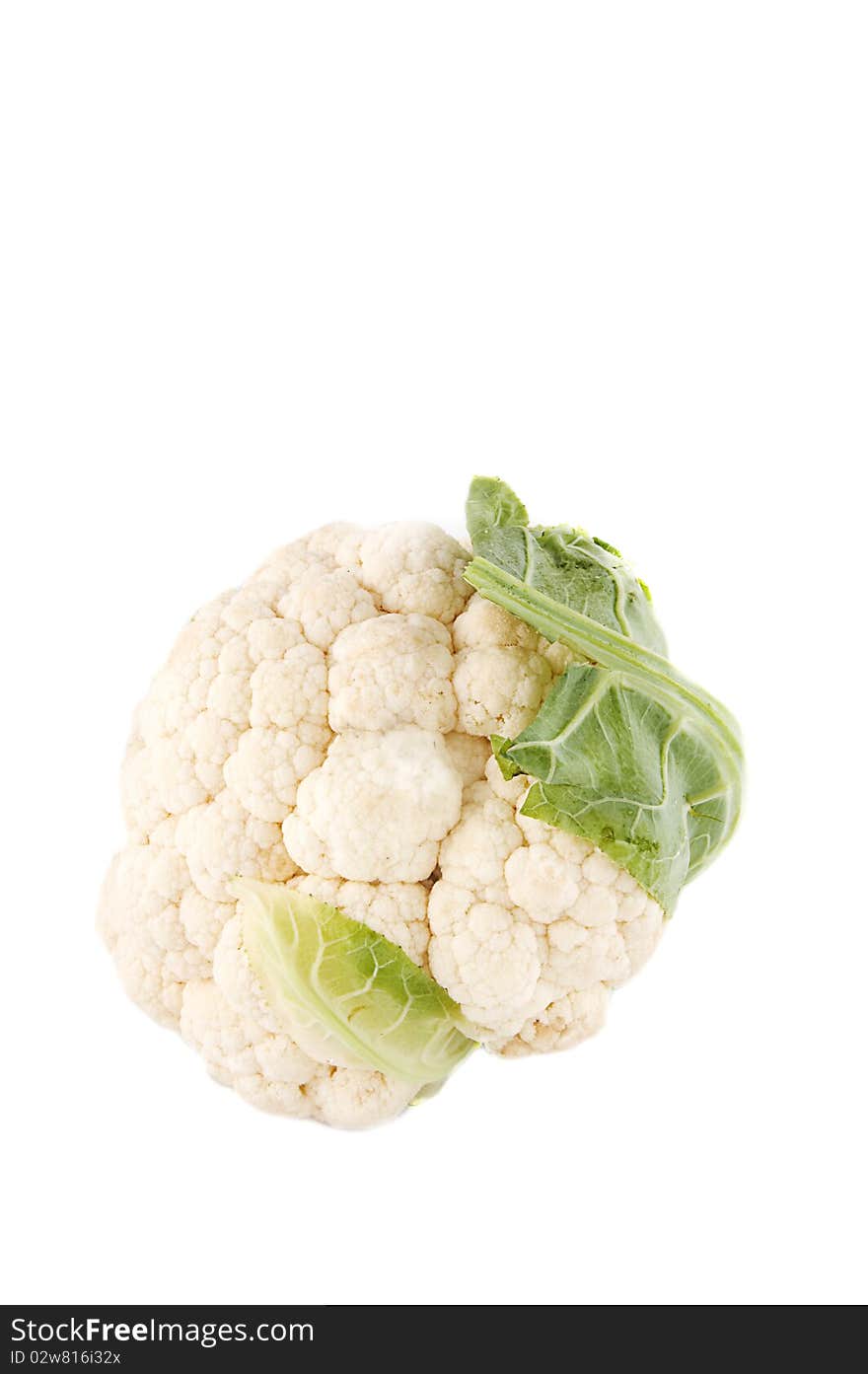 Cauliflower head isolated