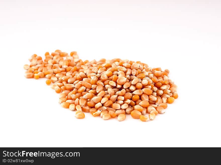 A heap of corn on a white background.