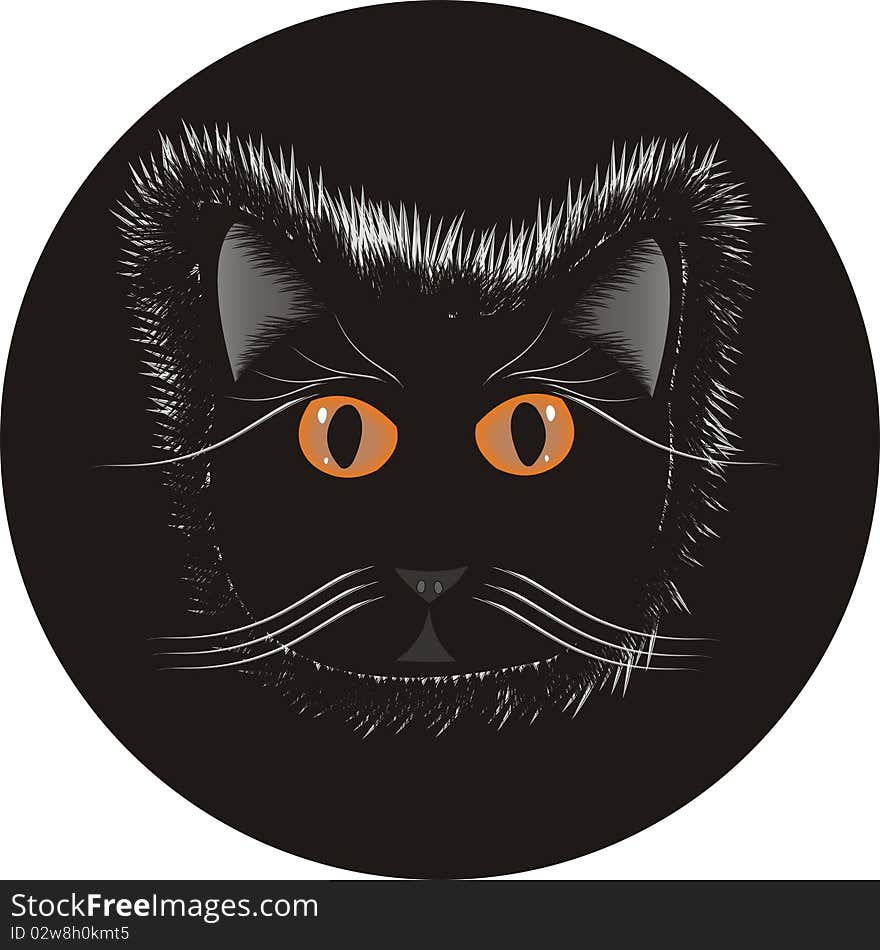 Cat on black Circle