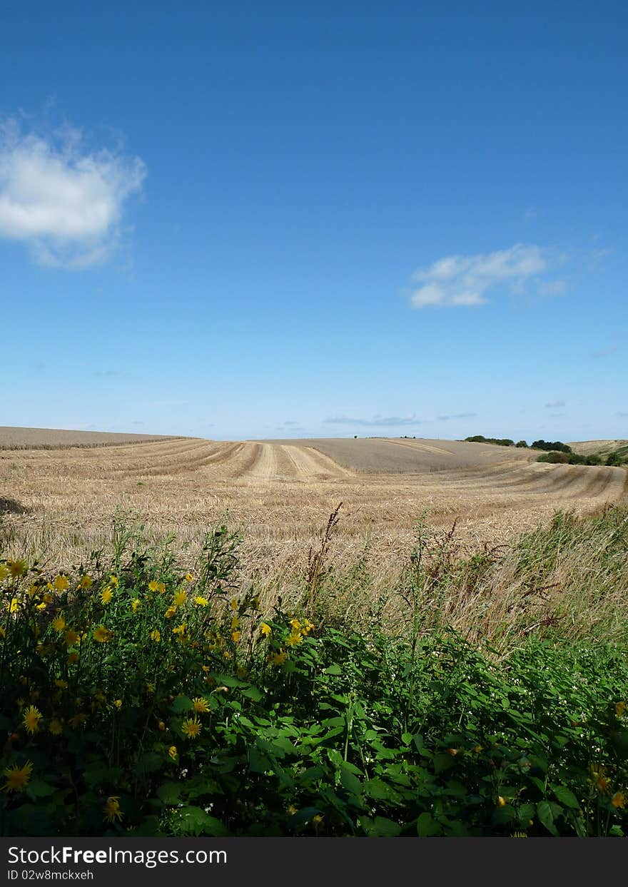 After The Harvest