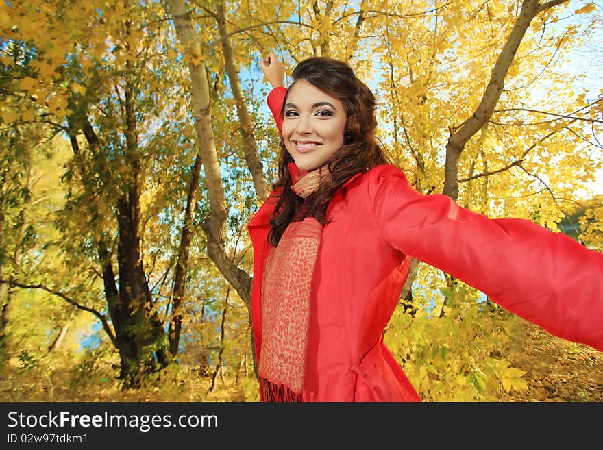 Young pretty woman at the autumn park. Young pretty woman at the autumn park.