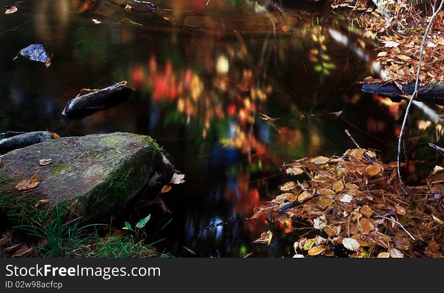 A Little Pond Full Of Fall Color